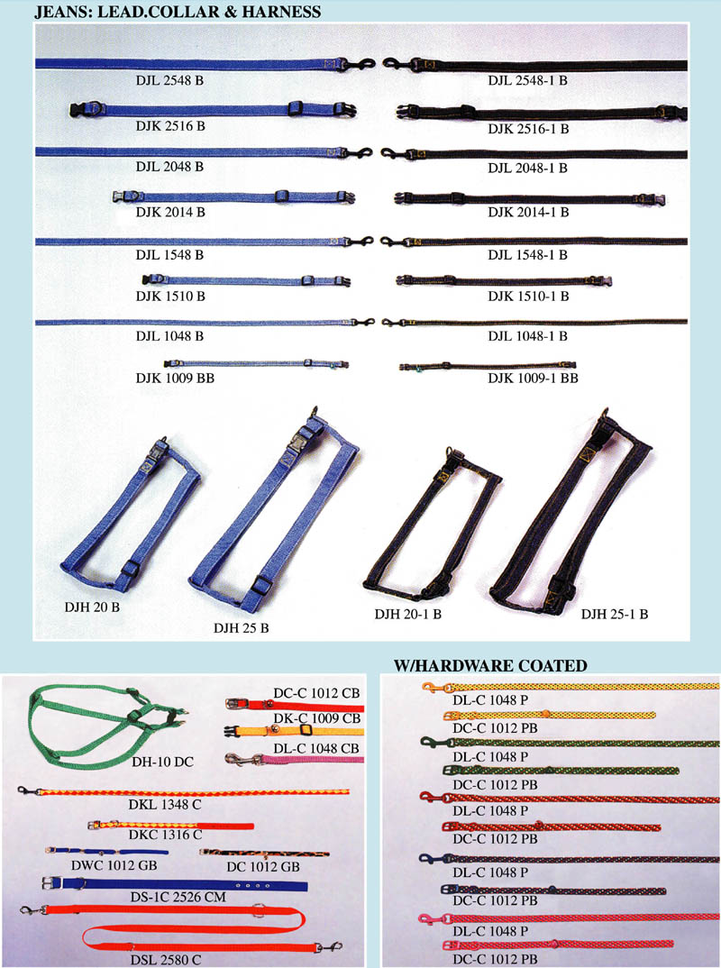 P08-Leads