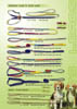 2002 P6 Leads & Collars